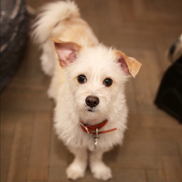 Meet your Posher, Kathleen - Picture 3 of 5